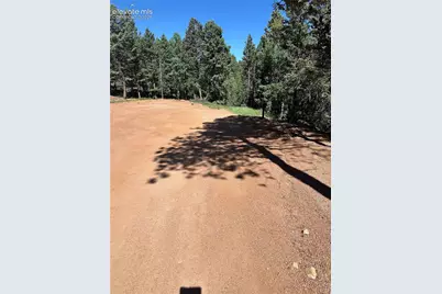 67 Gerka Lane, Florissant, CO 80816 - Photo 16