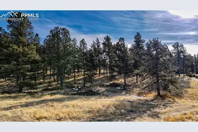 150 High Pasture Road, Florissant, CO 80816 - Photo 14