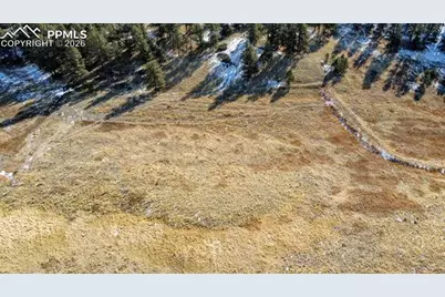 150 High Pasture Road, Florissant, CO 80816 - Photo 6
