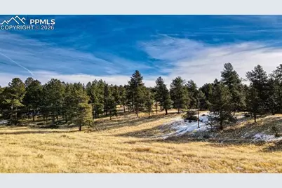 150 High Pasture Road, Florissant, CO 80816 - Photo 4