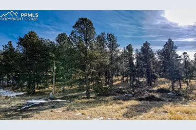150 High Pasture Road, Florissant, CO 80816 - Photo 10