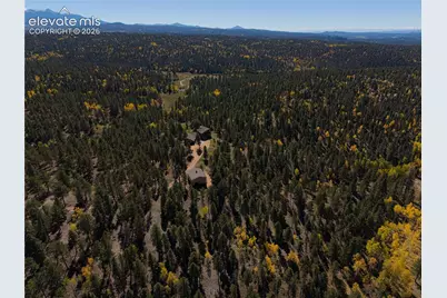 4267 Cedar Mountain Road, Divide, CO 80814 - Photo 48