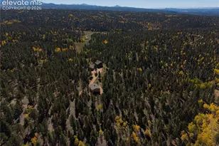 4267 Cedar Mountain Rd, Divide, CO 80814 - Photo 48