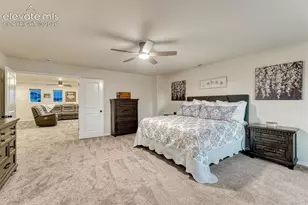 8268 Sophia Ln, Peyton, CO 80831 - Photo 44