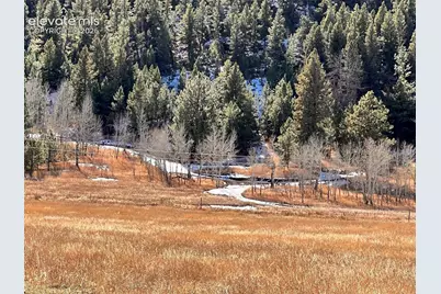 313 Elliott Drive, Florissant, CO 80816 - Photo 38