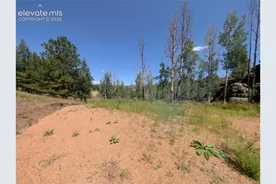 313 Elliott Drive, Florissant, CO 80816 - Photo 28