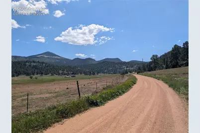 313 Elliott Drive, Florissant, CO 80816 - Photo 6