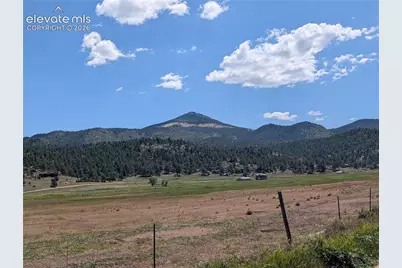 313 Elliott Drive, Florissant, CO 80816 - Photo 4