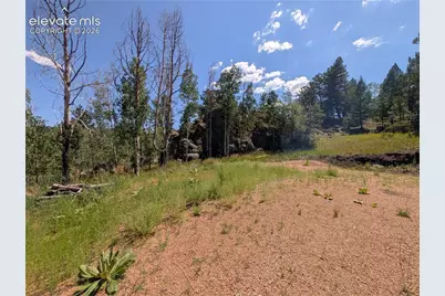 313 Elliott Drive, Florissant, CO 80816 - Photo 26