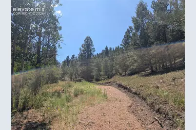 313 Elliott Drive, Florissant, CO 80816 - Photo 24
