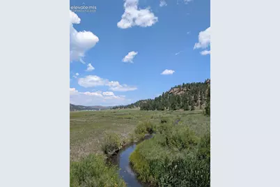313 Elliott Drive, Florissant, CO 80816 - Photo 42