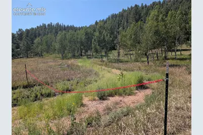 313 Elliott Drive, Florissant, CO 80816 - Photo 30