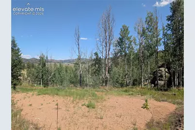 313 Elliott Drive, Florissant, CO 80816 - Photo 14
