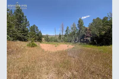 313 Elliott Drive, Florissant, CO 80816 - Photo 12
