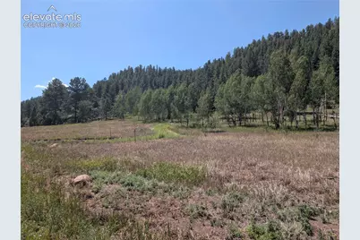 313 Elliott Drive, Florissant, CO 80816 - Photo 34
