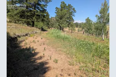 313 Elliott Drive, Florissant, CO 80816 - Photo 22