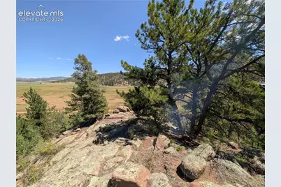 313 Elliott Drive, Florissant, CO 80816 - Photo 8