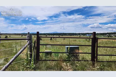 15196 Eastonville Road, Elbert, CO 80106 - Photo 18