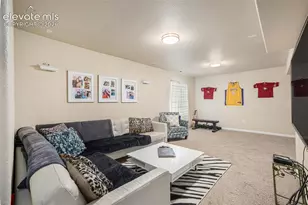 8317 Chasewood Loop, Colorado Springs, CO 80908 - Photo 24