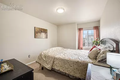 8317 Chasewood Loop, Colorado Springs, CO 80908 - Photo 10