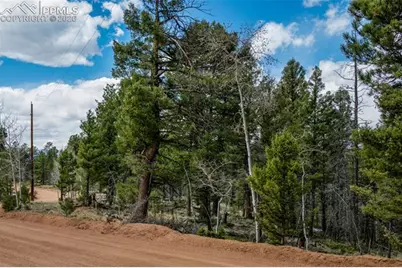 451 Chipeta Creek Trail, Florissant, CO 80816 - Photo 10