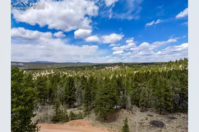 451 Chipeta Creek Trail, Florissant, CO 80816 - Photo 2