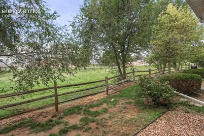 7089 Yampa River Heights, Fountain, CO 80817 - Photo 24
