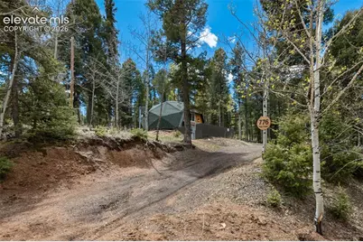 776 Jolly Rogue Drive, Divide, CO 80814 - Photo 30