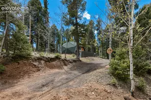 776 Jolly Rogue Dr, Divide, CO 80814 - Photo 30