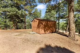 234 Wasatch Ln, Florissant, CO 80816 - Photo 34