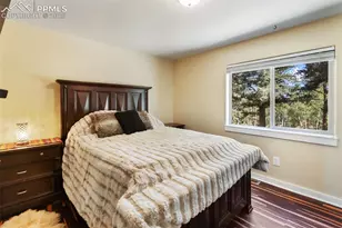 234 Wasatch Ln, Florissant, CO 80816 - Photo 20