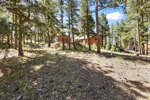 234 Wasatch Ln, Florissant, CO 80816 - Photo 28