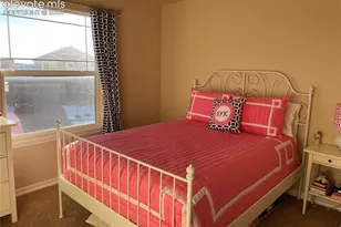 9196 Lizard Rock Trail, Colorado Springs, CO 80924 - Photo 16