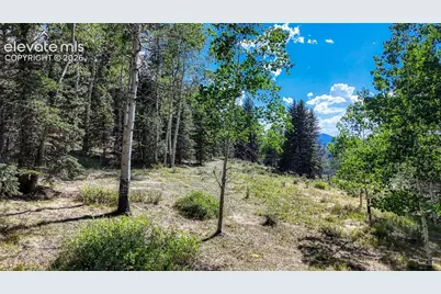 1444 Anges Drive, Cripple Creek, CO 80813 - Photo 10