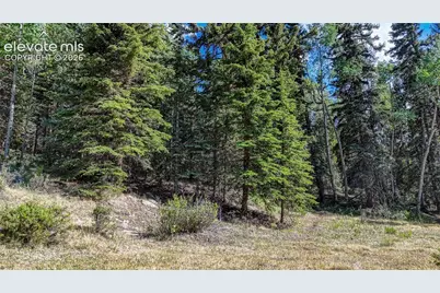 1444 Anges Drive, Cripple Creek, CO 80813 - Photo 14
