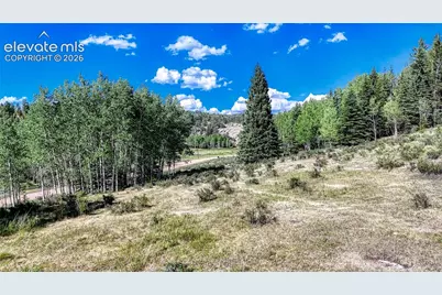 1444 Anges Drive, Cripple Creek, CO 80813 - Photo 8