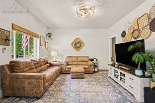 225 N Cedar St, Colorado Springs, CO 80903 - Photo 4