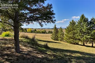 7650 Lark Bunting Ct, Colorado Springs, CO 80908 - Photo 40