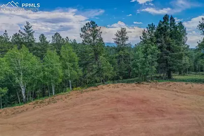 449 Woody Creek Road, Florissant, CO 80816 - Photo 20