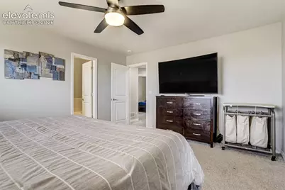 7335 Willowdale Drive, Fountain, CO 80817 - Photo 26