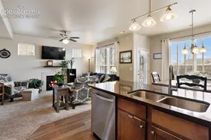 4338 Alder Springs View, Colorado Springs, CO 80922 - Photo 4