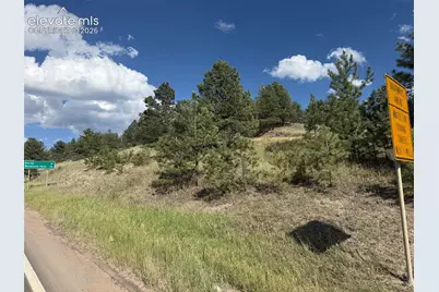 137 Hillside Drive, Florissant, CO 80816 - Photo 12