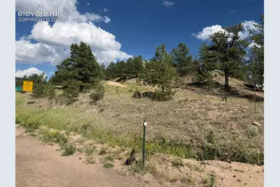 137 Hillside Drive, Florissant, CO 80816 - Photo 8