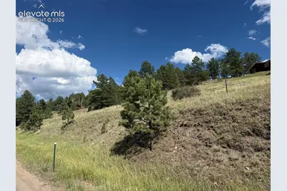 137 Hillside Drive, Florissant, CO 80816 - Photo 14