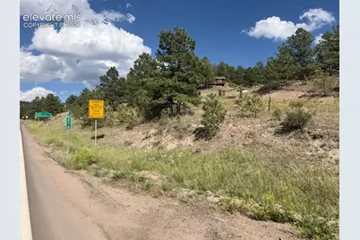 137 Hillside Drive, Florissant, CO 80816 - Photo 10