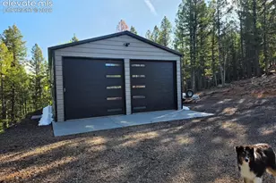 87 Bonanza Cir, Florissant, CO 80816 - Photo 18