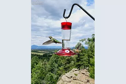 87 Bonanza Circle, Florissant, CO 80816 - Photo 20