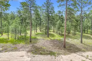 14671 Allen Ranch Rd, Colorado Springs, CO 80908 - Photo 1