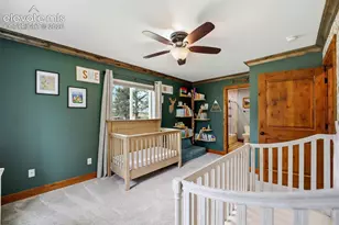 201 Turnabout Ln, Florissant, CO 80816 - Photo 20