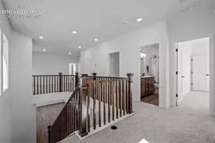 9040 Frolic Vw, Colorado Springs, CO 80924 - Photo 28